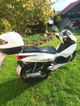 Prodám skútr Honda 125 PCX - 5