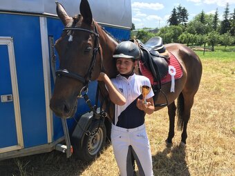 Charakterní spolehlivá kobyla k rekreačnímu využití - 5