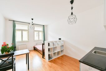 Útulný byt 1+kk na Vinohradech, blízko Náměstí Míru - 5
