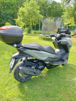 HONDA FORZA 125 - 5