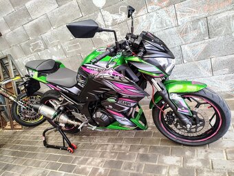 Kawasaki Z 300 - 5