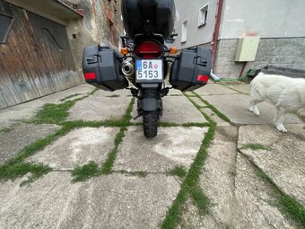 BMW f 650 st 35kw - 5