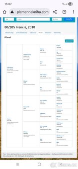 Prodej/pronájem 7-mi letá klisna CS - 5