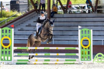 🐴 Na prodej – mladý valach po Hickstead White - 5