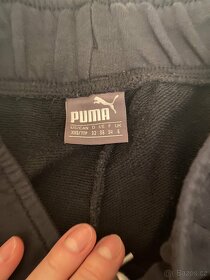 puma - 5