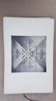 Starou obrazovou sbírku stavebních ornamentů - 5