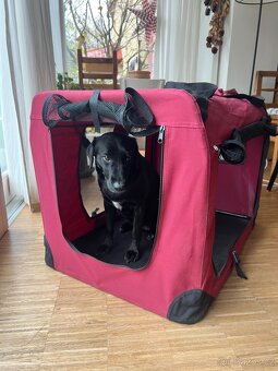 Přepravní box XXL - 5