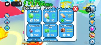Roblox account - 5