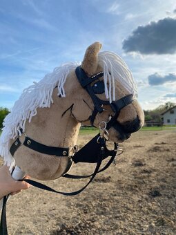 Hobby horse na parkur - 5
