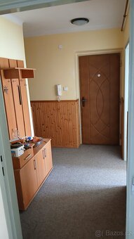 Pronájem bytu 50m² - 5