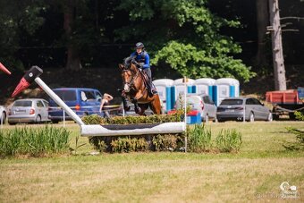 Top klisna do sportu - 5