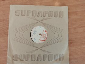 Gramofonové desky 24x - 5