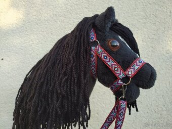 Hobby horse - 5