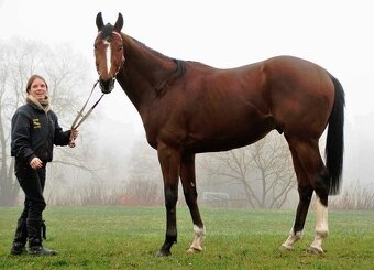 Spirit de Rendpeine - 5