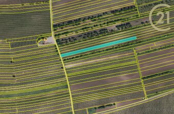 Prodej zemědělských a investičních pozemků ve Velkých Pav... - 5