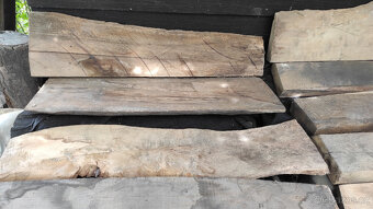 Staré suché listnaté dřevo - 5