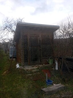 Pronájem vinohradu Bzenec - Novosady - 5