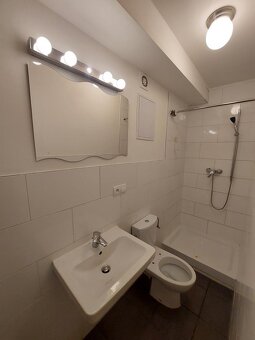 Pronajem bytu levné Praha 9 - 5