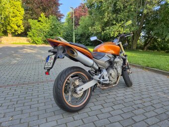 Honda Hornet CB 600F - 5