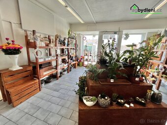 Pronájem obchodního prostoru, Kozolupy - 5