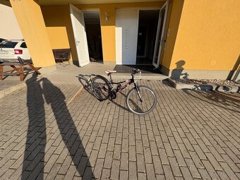 Dětské kolo Superior PAINT 24 - 5