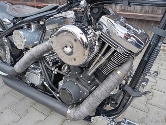 Harley Davidson Stavba Big Dog Kraft USA - 5