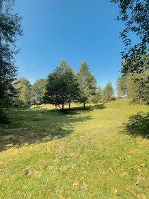 Zahrada na MARINGOTKU v Orlických horách 6838 m² - 5