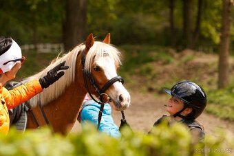 pony A - Vanilka - sen každé princezny - 5