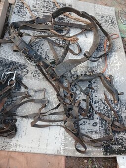 Potřeby pro koňe - 5