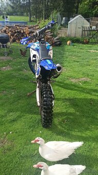 Yamaha YZ 450 F - 5