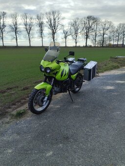 Triumph Tiger 955i - 5
