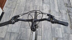 LEADER FOX PICNIC RIDE PRO 4CW - 5