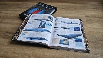 Krásná encyklopedie ZVÍŘATA, Knižní klub - 5