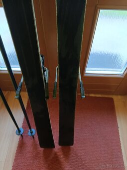 Prodám Lyže HEAD - 5