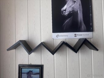 Velká obývací stěna + doplňkový nábytek + poličky - 5