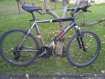 Kola Dominátor Chicago - 5