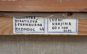 Obraz olej na plátně Vladimíra Stratilová signováno , " Luž - 5