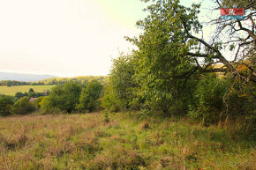 Prodej louky, 3251 m², Radeč u Horní Police, Žandov - 5