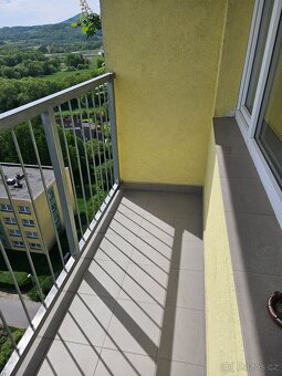 Pronájem bytu 1+kk s balkónem, Holý vrch - 5
