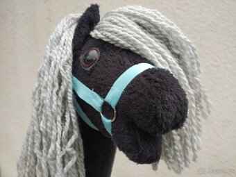 Hobby horse - 5