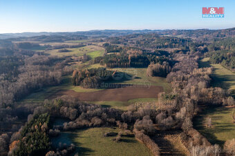 Prodej lesa, 25838 m², Nalžovské Hory - 5