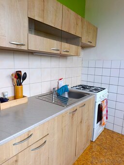 Pronájem bytu 1+1 36 m² Františka Hajdy, Ostrava - Hrabůvka - 5