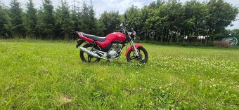 Yamaha YBR125 - 5