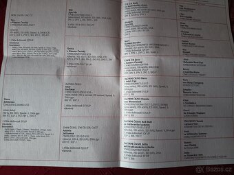 Německý ovčák s PP - 5