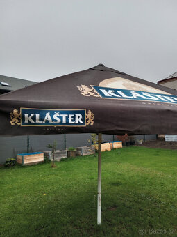 slunečník hospodský - 5