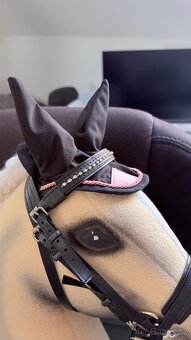 Hobby Horse - 5