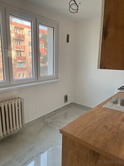 Pronájem bytu - 5