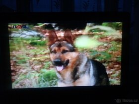 Prodám tv Philips (úhl.48cm)+VCR Funai+sluchátka SONY - 5