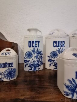 Cibuľak koreničky - 5