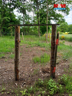 Prodej lesa, 9634 m², Hrazany - 5